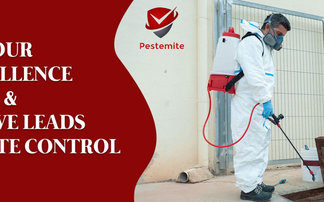 Our Excellence & Why We Leads in Termite Control