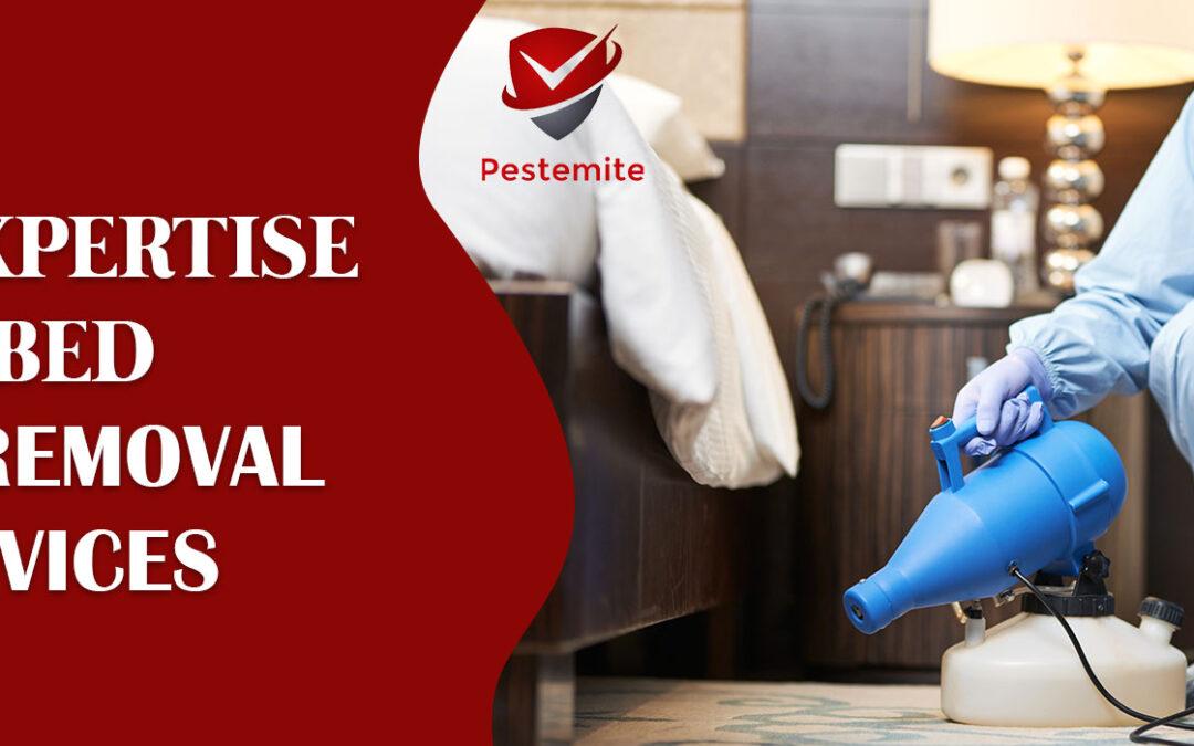 Our Expertise in Bed Bugs Removal Services