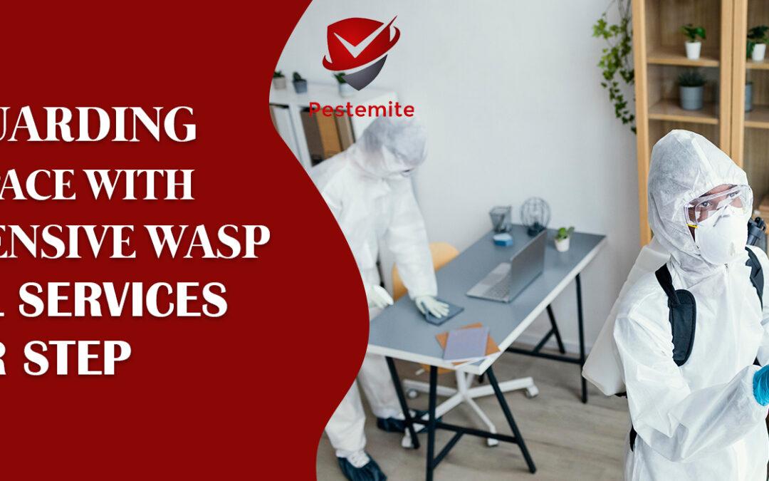 Wasp Control Services